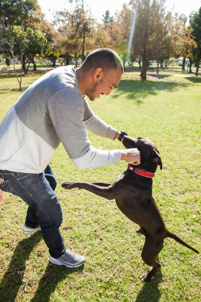 istock Young man lifting his dog on its hind legs using a bone. 918537000
