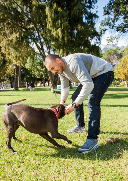 istock Handsome young man playing with his dog in the park. 918537130