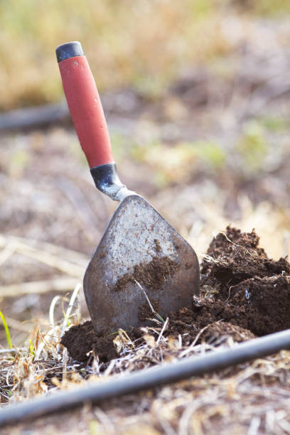 istock Farmer Trowel In Soil 918541752