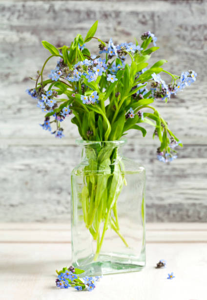 istock Bouquet of blue wild forget-me-not flowers. Selective focus 918541886