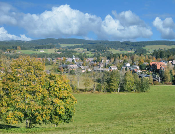 istock Village of Hinterzarten,Black Forest,Germany 918542136