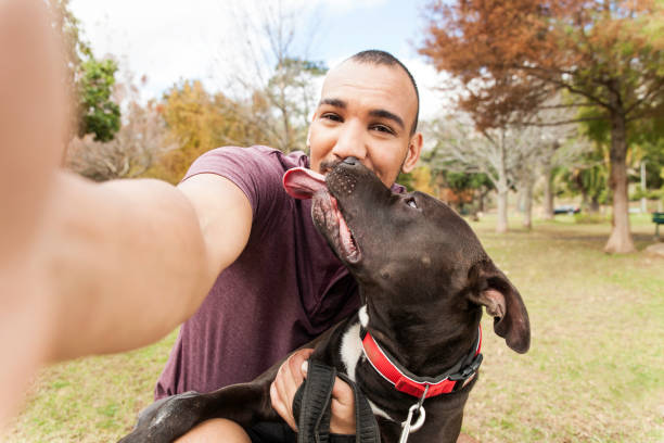 istock Young man taking a selfie with his dog. 918545020