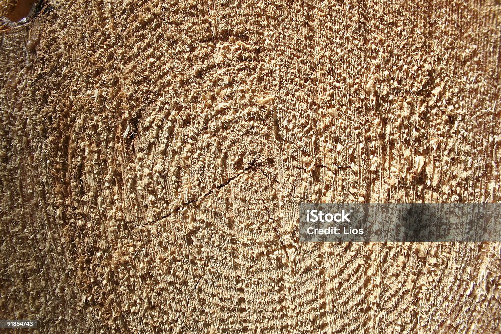 texture de grain de bois - Photo de Aliment en portion libre de droits