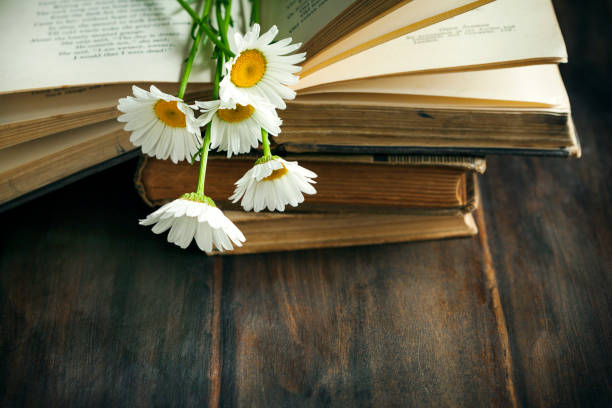 istock Vintage books and chamomiles on wooden background 918548536