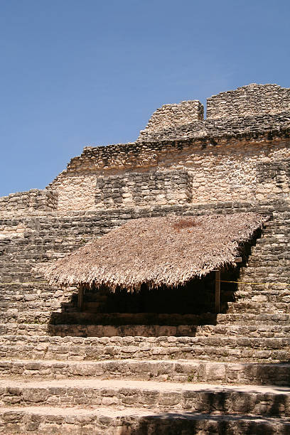 chacchoben rovine maya in messico - chacchoben foto e immagini stock