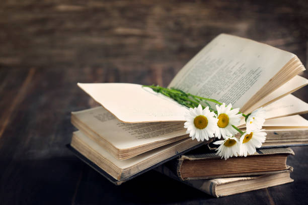 istock Vintage books and chamomiles on wooden background 918552080