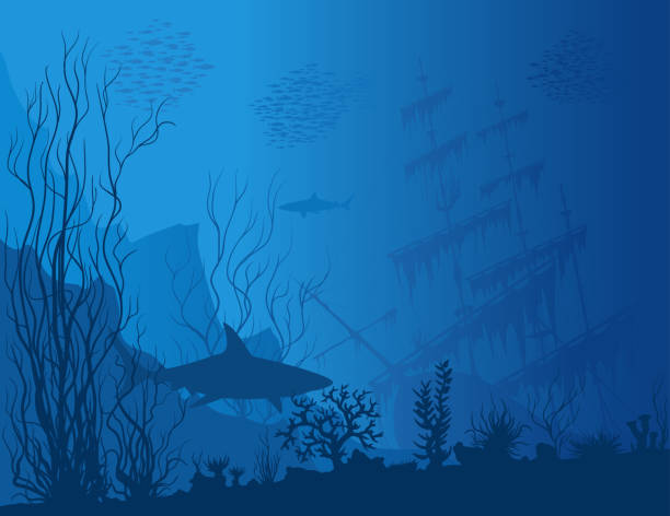 ilustraciones, imágenes clip art, dibujos animados e iconos de stock de paisaje submarino azul - shark animal blue cartoon