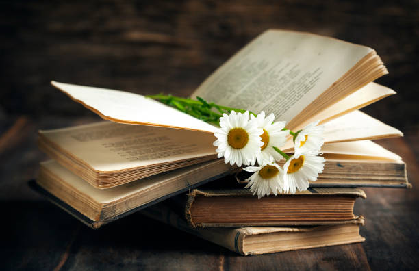 Delicate buttercups on an old prayer book. Selective focus, macro shot.