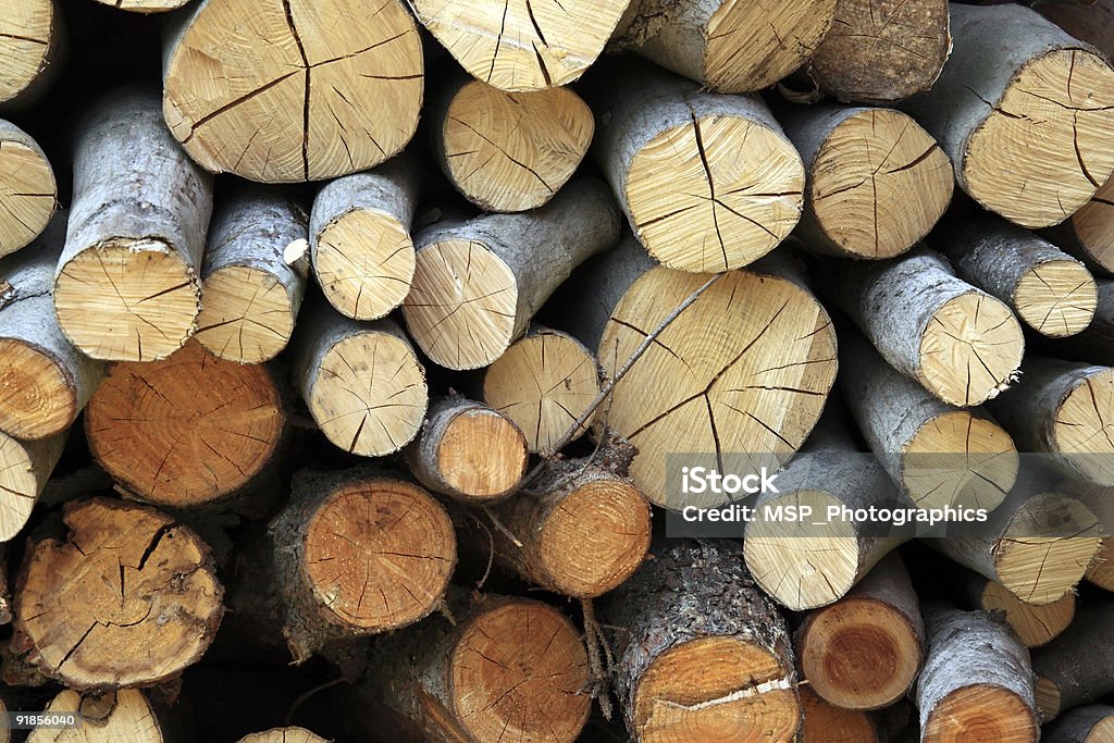 Bottier en bois bûches - Photo de Anneau de croissance d'un arbre libre de droits