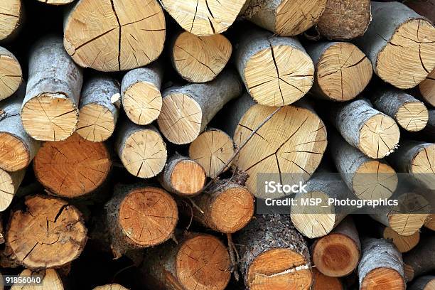 적재형 목재 로그 0명에 대한 스톡 사진 및 기타 이미지 - 0명, 나무, 나무 껍질