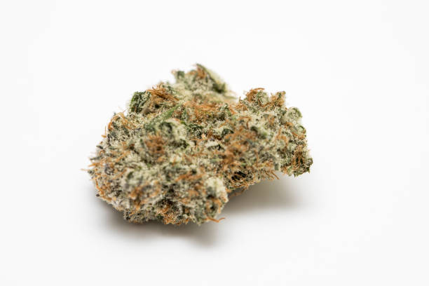 Marijuana Nugget stock photo