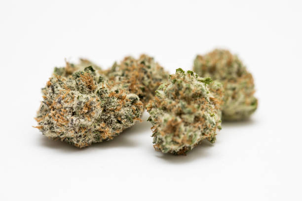 Marijuana Nugget stock photo