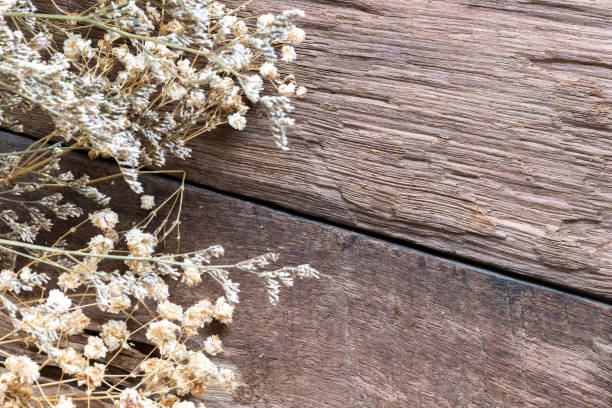 istock Dried flower (Limonium) white on wood background 918566048