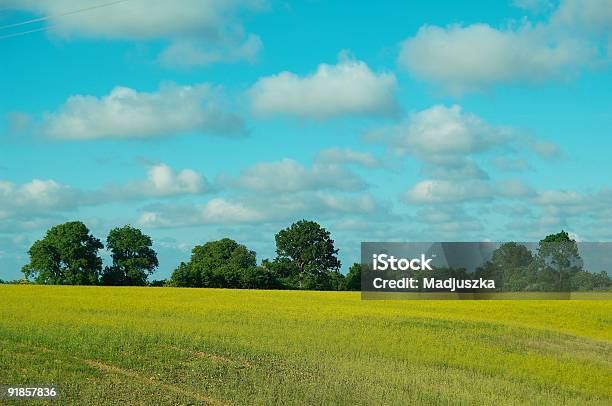 Krajobraz 1 - zdjęcia stockowe i więcej obrazów Bez ludzi - Bez ludzi, Chmura, Fotografika