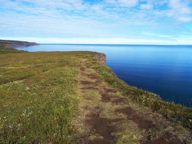 istock Northern coast of Iceland 918579562