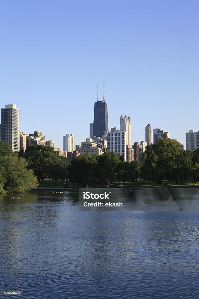 Chicago Skyline (Retrato - Royalty-free Chicago - Illinois Foto de stock