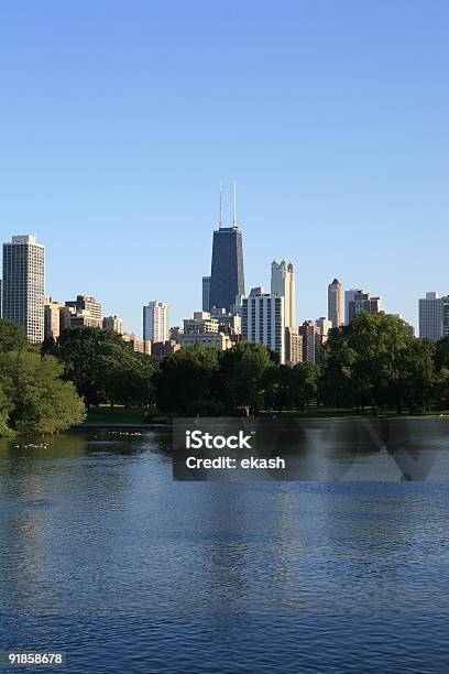 Chicago Skyline Retrato - Fotografias de stock e mais imagens de Chicago - Illinois - Chicago - Illinois, Lincoln Park, Alto - Descrição Física