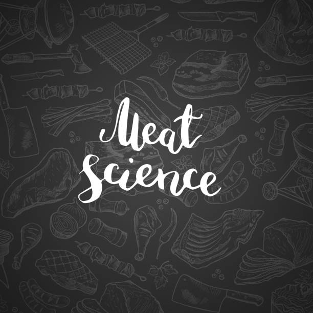 Vector lettering on chalk with hand drawn meat elements Vector lettering on chalk gradientbackground with hand drawn meat elements illustration meat designs stock illustrations
