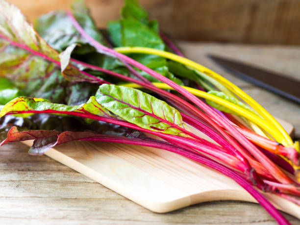 Fresh rainbow swiss chard vegetable.