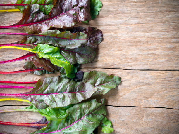 istock Fresh rainbow swiss chard vegetable. 918590338