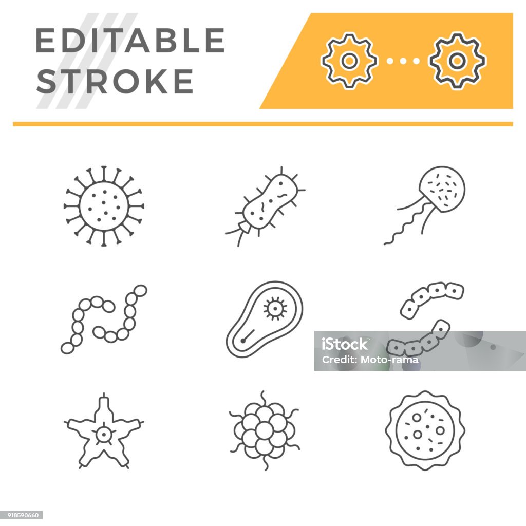 Set line icons of microbe and bacterium Set line icons of microbe and bacterium isolated on white. Editable stroke. Vector illustration Icon Symbol stock vector