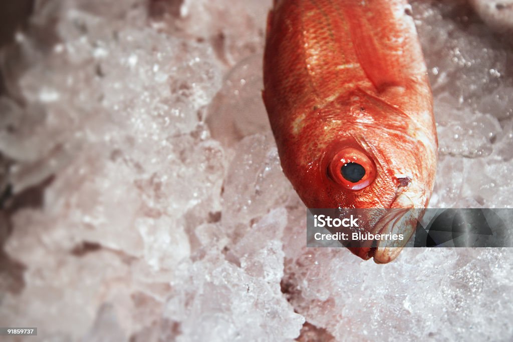 Fish Market Fish on Ice Fulton - New York State Stock Photo