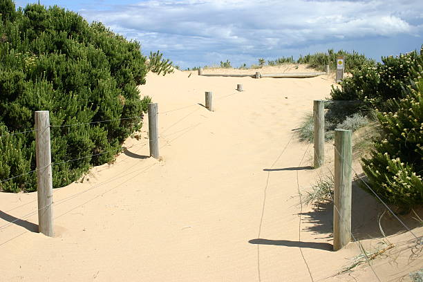 istock sand blown track to the beach 91859834