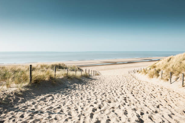 Sandy dunes on the coast of North sea