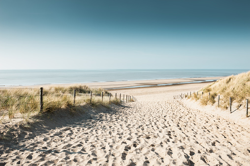 Dune landscape with a blue sky in Norddeich at winter, North Sea, East Frisia, Lower Saxony, Germany