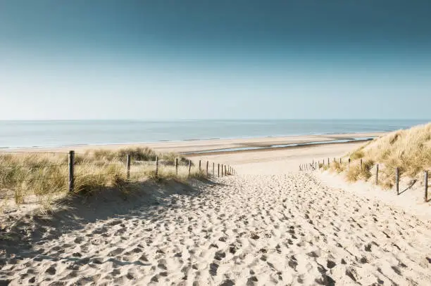 Sandy dunes on the coast of North sea in Noordwijk, Netherlands, Europe.