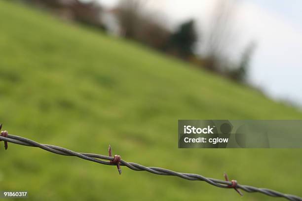 Foto de Farm De Arame e mais fotos de stock de Aberto - Aberto, Acessibilidade, Agricultura