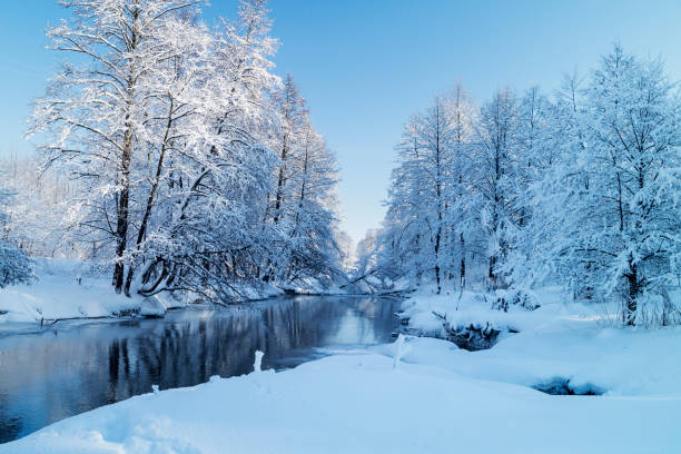 istock Winter landscape with river in wood 918606324