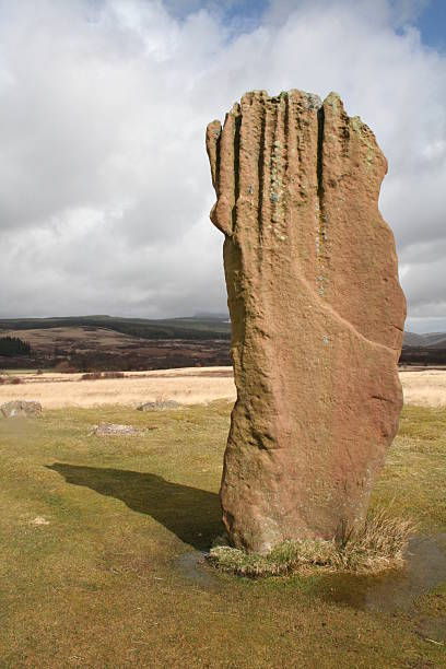Machrie Moor Standing Stone  ayrshire cattle photos stock pictures, royalty-free photos & images
