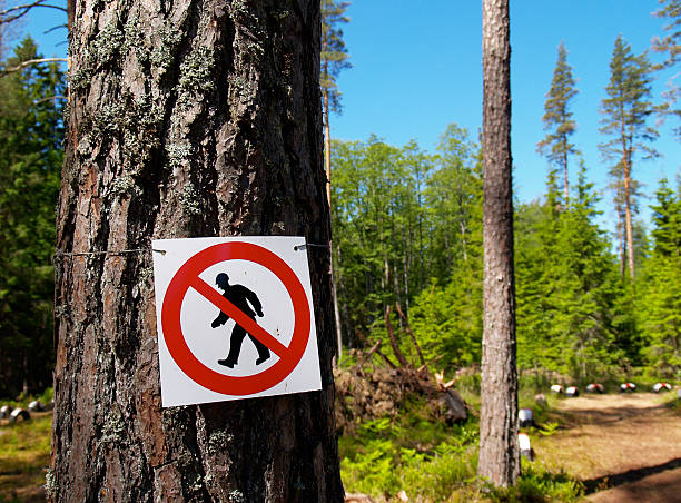 istock No-Walking Sign In Forest With Track 91861263