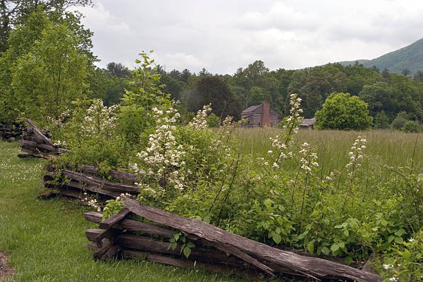 log cabin in mountains stock photo