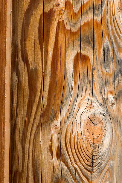 wood texture stock photo