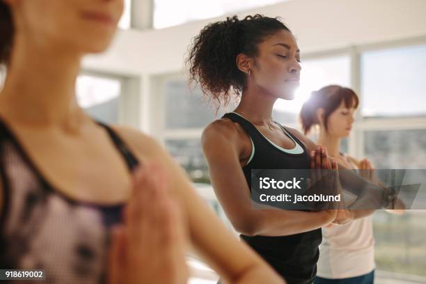 Woman Practice Yoga With Friends In Gym Stock Photo - Download Image Now - Yoga, Women, Exercising