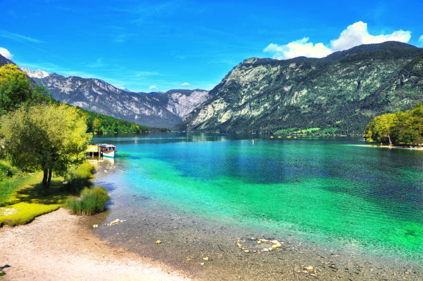 piękny słoweński krajobraz bohinj lake,z turkusow�ą wodą. park narodowy triglav, alpy julijskie, słowenia,europa - julian alps lake bohinj lake bohinj zdjęcia i obrazy z banku zdjęć