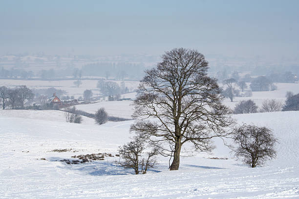 istock Landscape of snow 91862249