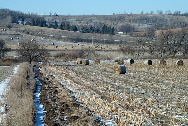 zbiór czas w stanie nebraska - nebraska midwest usa small town america landscape zdjęcia i obrazy z banku zdjęć