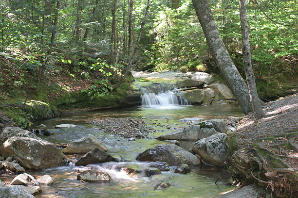 The Basin stock photo