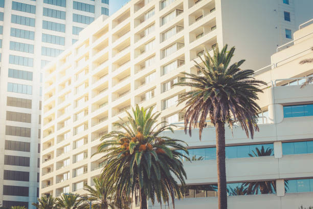 Santa Monica office buildings with palms Santa Monica office buildings and hotels with palms illuminated by sunset light santa monica stock pictures, royalty-free photos & images
