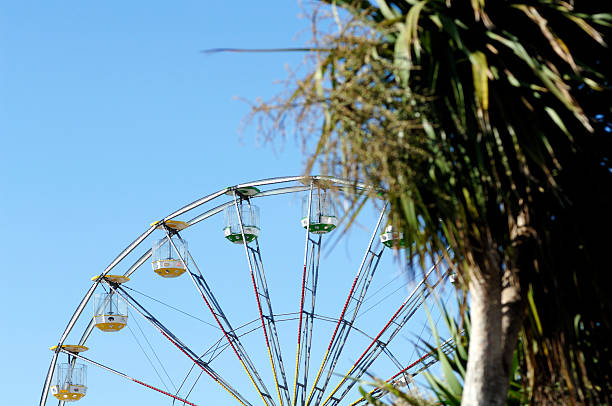 istock ferris wheel and palm tree, summer resort 91862537