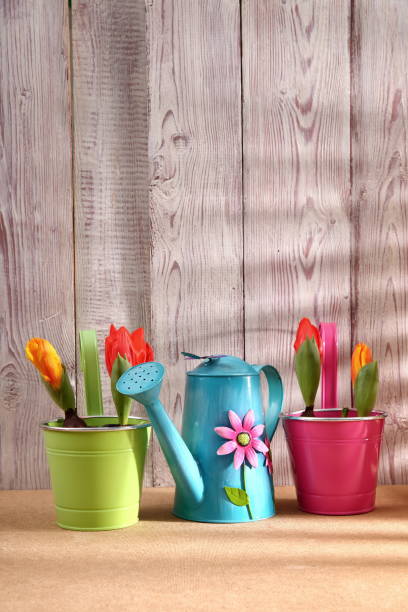 istock Garden tools that help streamline work related to gardening. 918634470