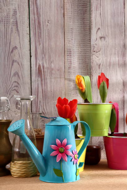istock Garden tools that help streamline work related to gardening. 918639200