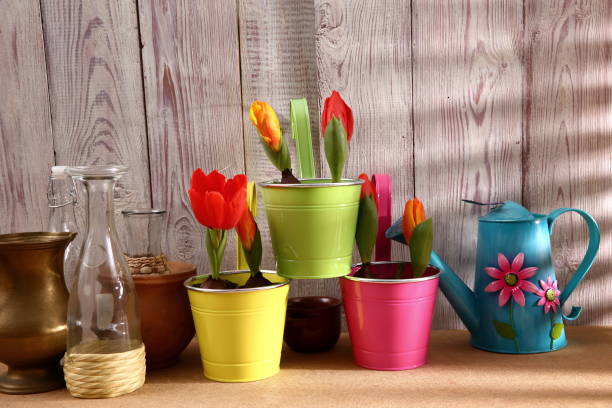 istock Garden tools that help streamline work related to gardening. 918639444