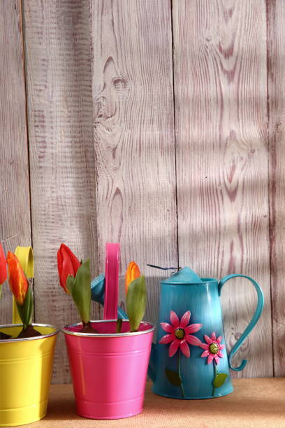 istock Garden tools that help streamline work related to gardening. 918639680