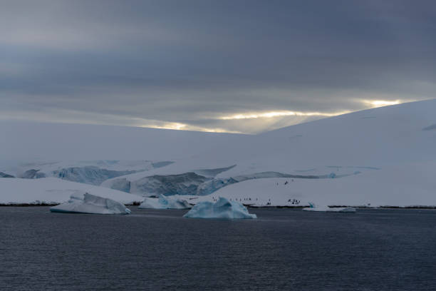 istock Antarctic landscape with people on snow 918639954