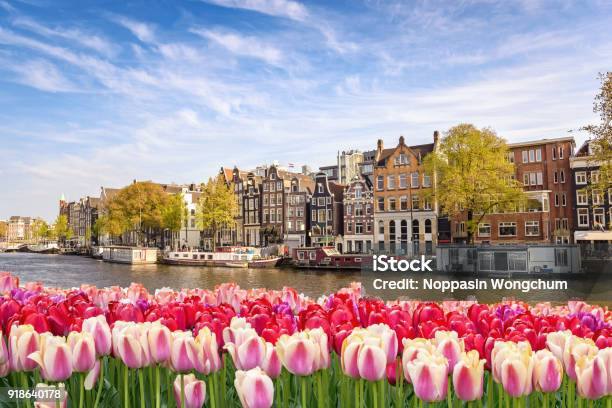 De Skyline Van De Stad Van Amsterdam Aan Kanaal Water Met Voorjaar Tulip Bloem Amsterdam Nederland Stockfoto en meer beelden van Amsterdam