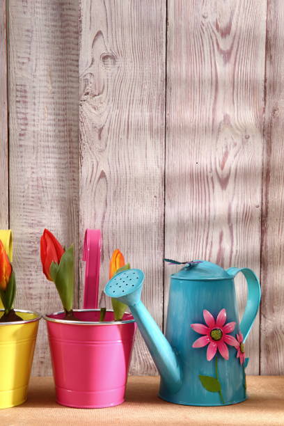 istock Garden tools that help streamline work related to gardening. 918642282